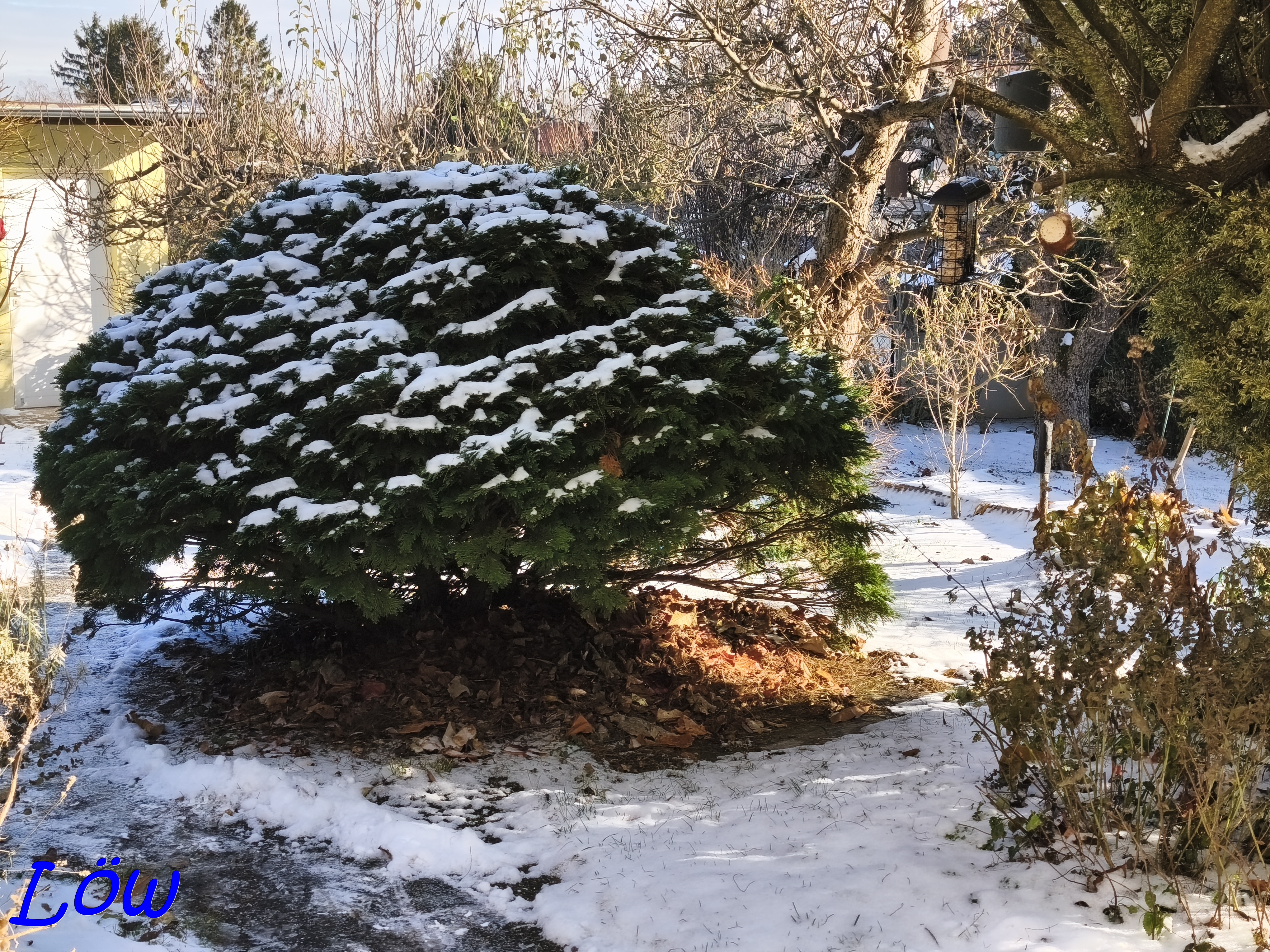 23.11.2025 - Im Schatten legt mehr